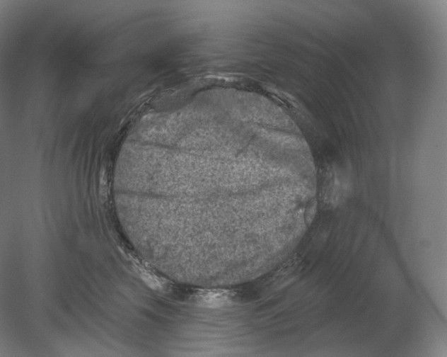 X0000080180569200701051700