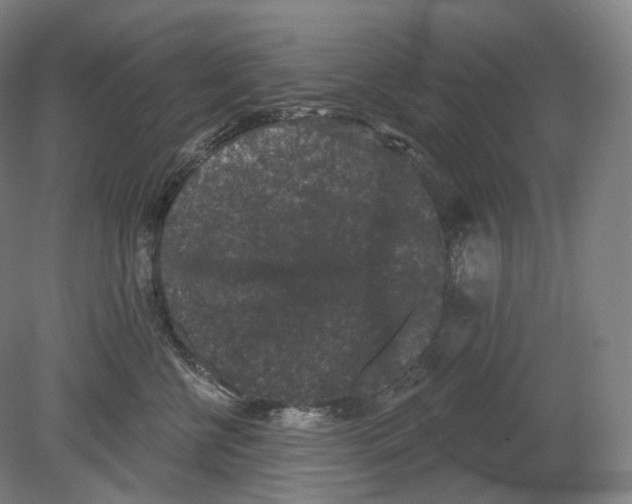 X0000080180570200701051700