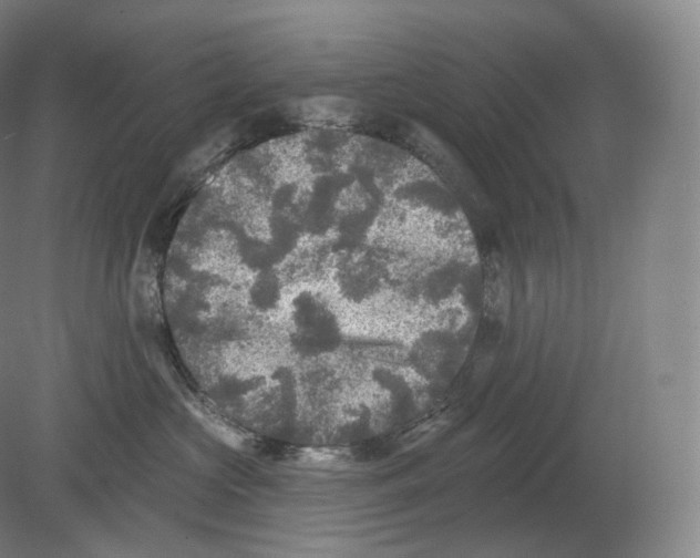 X0000080180573200701051700