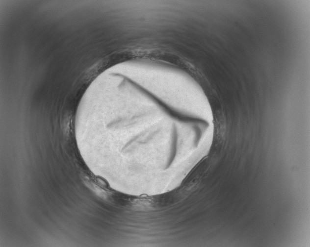 X0000080180574200701051700