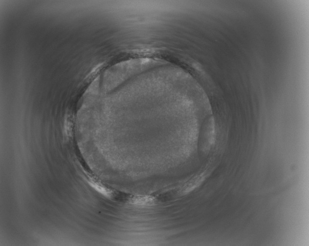 X0000080180576200701051700