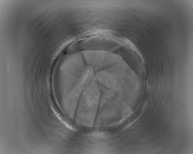 X0000080180581200701051659