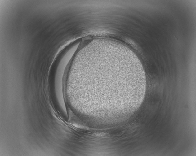 X0000080180583200701051659