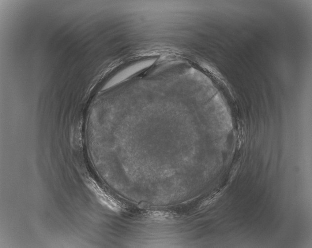 X0000080180585200701051659