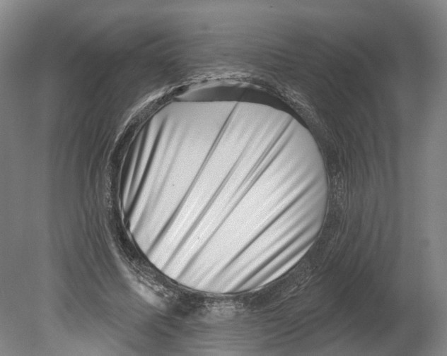 X0000080180587200701051659