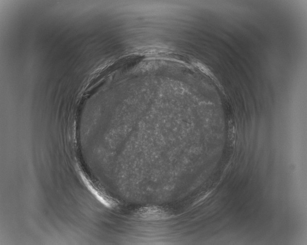 X0000080180589200701051659