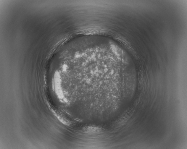 X0000080180590200701051659