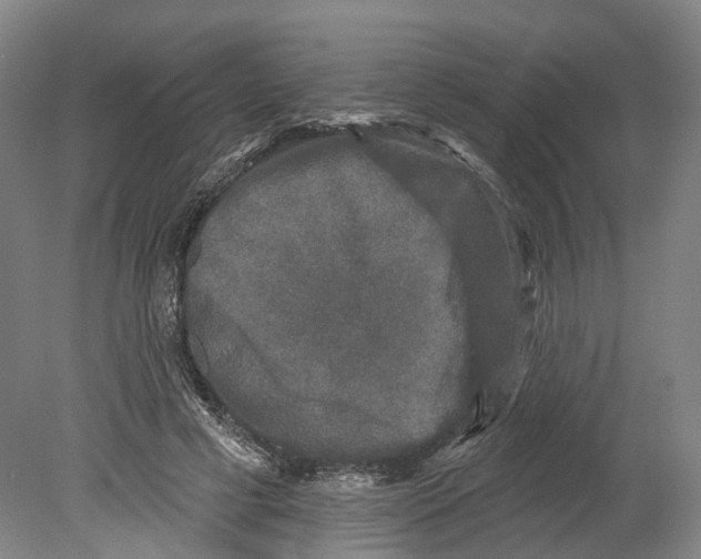 X0000080180593200701051659