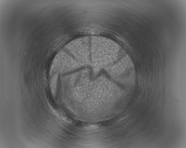 X0000080180594200701051659