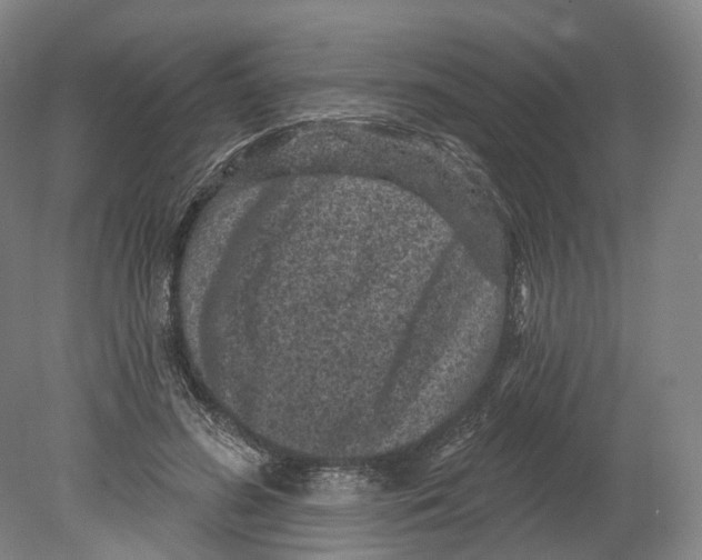 X0000080180596200701051659