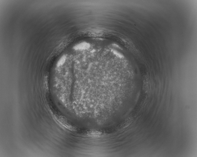 X0000080180598200701051659