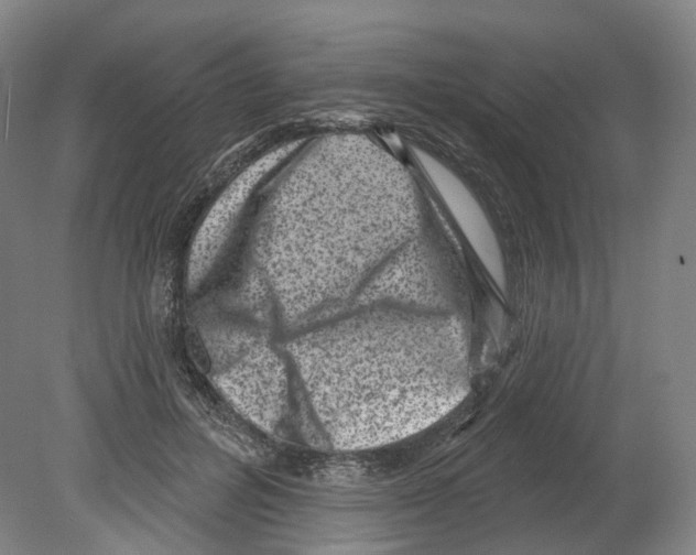 X0000080180600200701051659