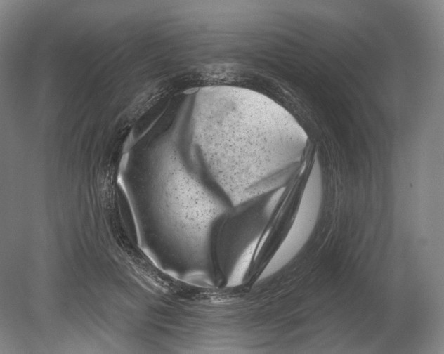 X0000080180601200701051659