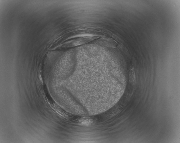 X0000080180604200701051659