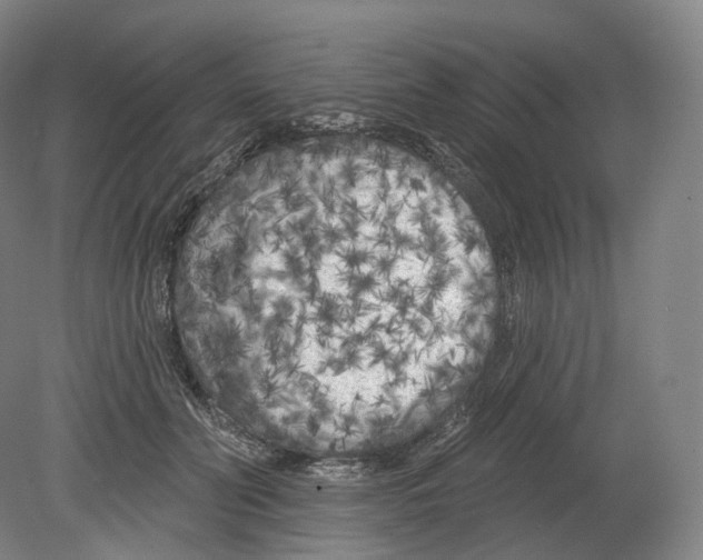 X0000080180606200701051659