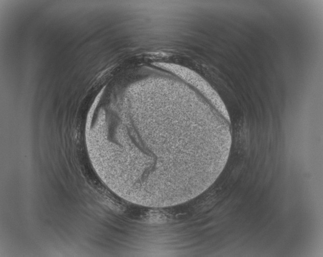 X0000080180608200701051659