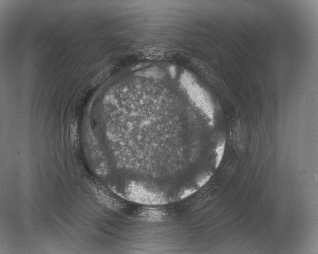 X0000080180610200701051659