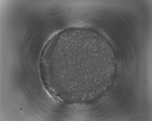 X0000080180626200701051658