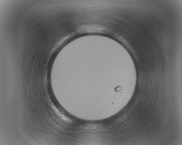 X0000080180629200701051658