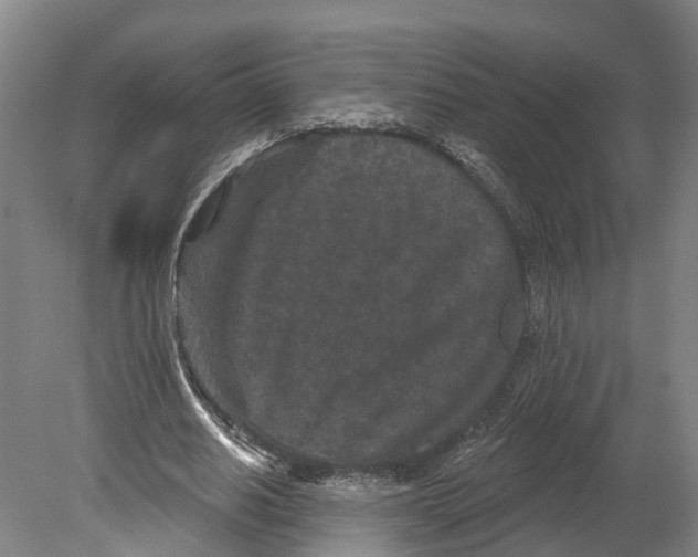 X0000080180630200701051658