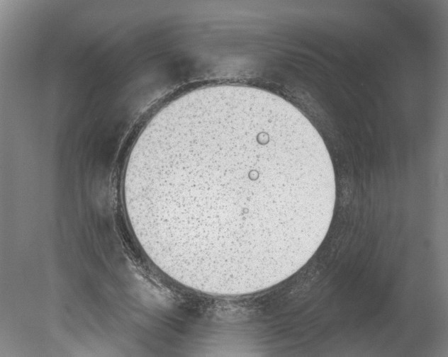 X0000080180632200701051658