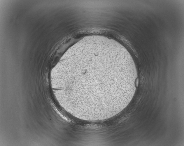 X0000080180633200701051658