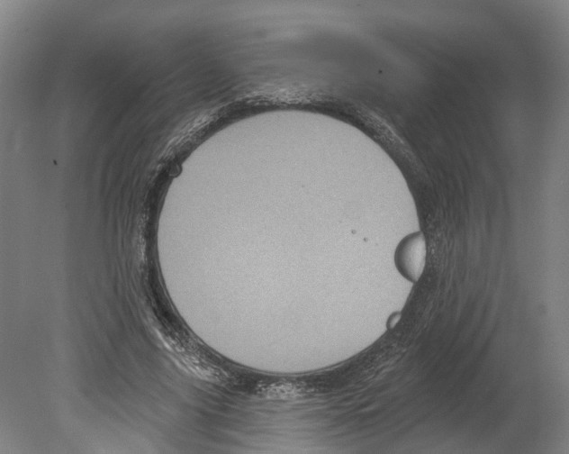 X0000080180635200701051658