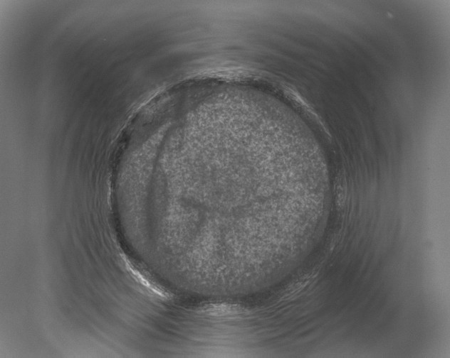 X0000080180637200701051658