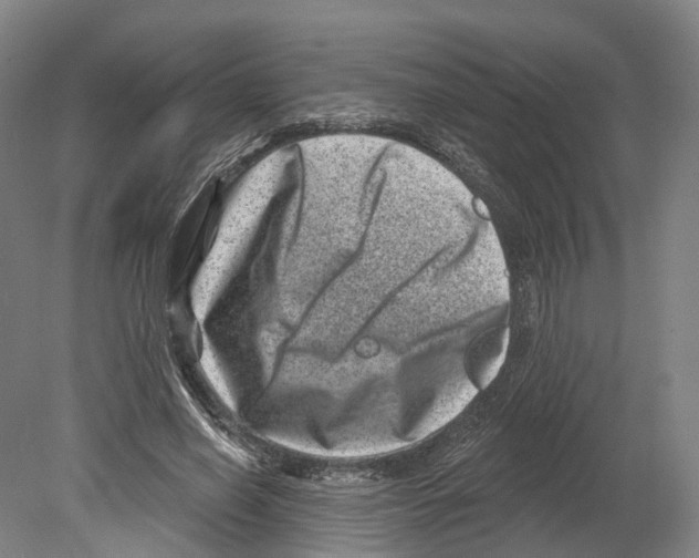 X0000080180638200701051658