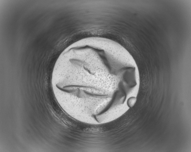 X0000080180639200701051658