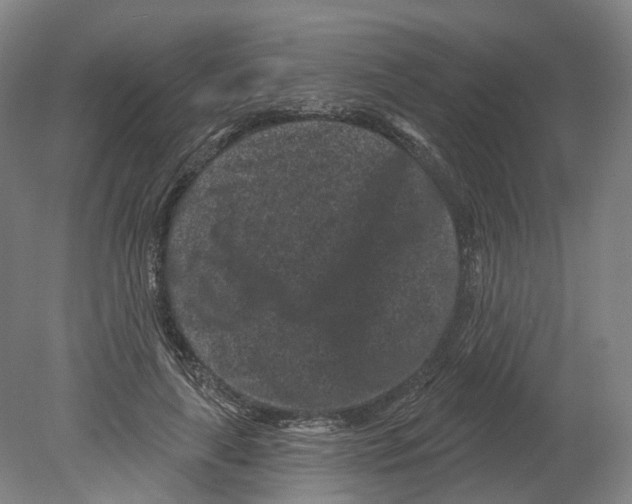 X0000080180643200701051658