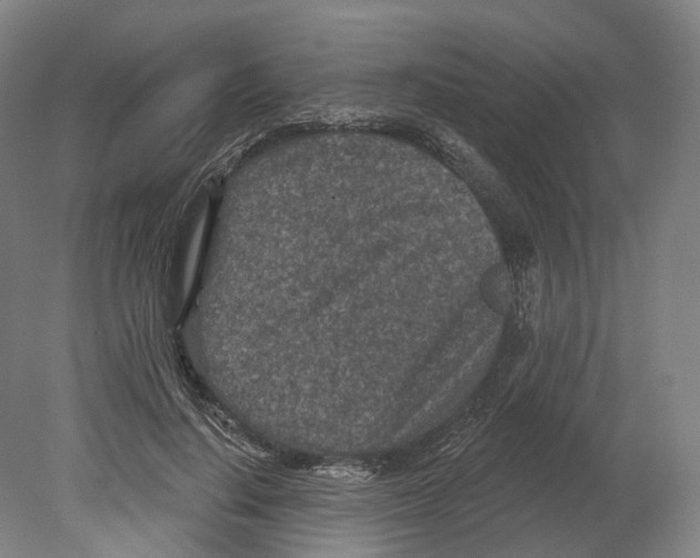 X0000080180644200701051658