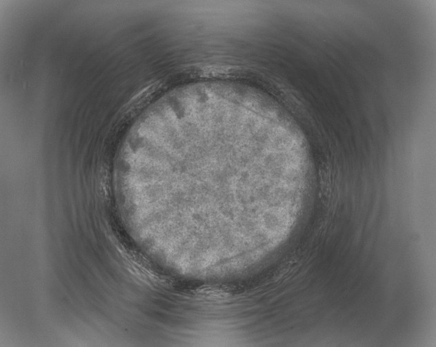 X0000080180648200701051658