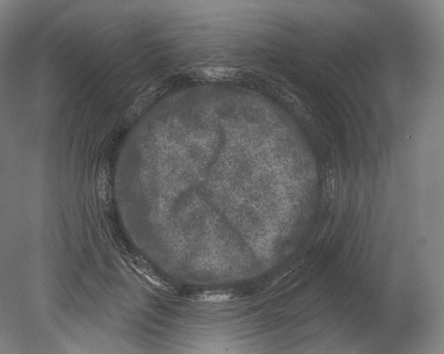 X0000080180651200701051658