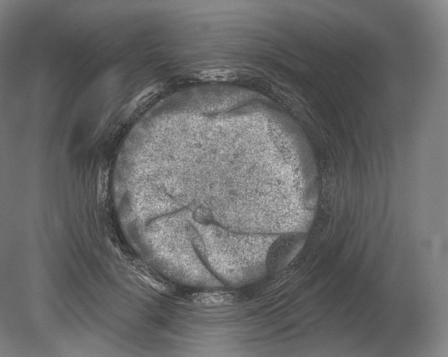 X0000080180652200701051658