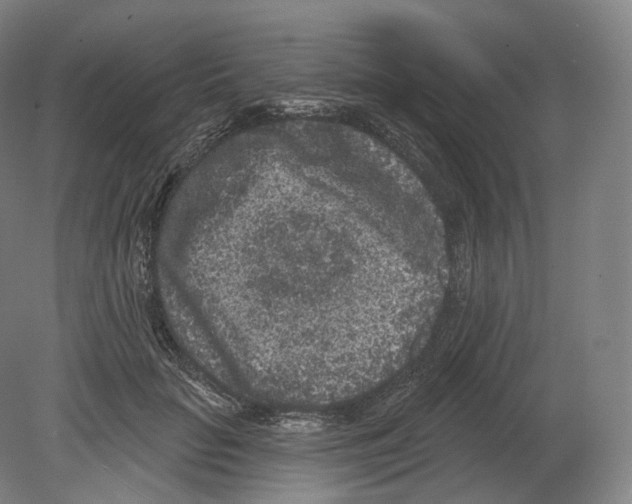 X0000080180653200701051658