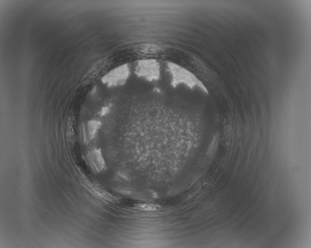 X0000080180654200701051658