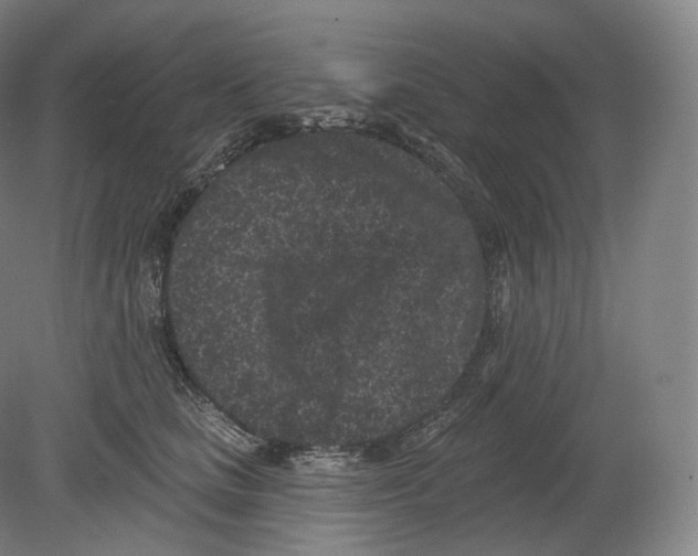 X0000080180661200701051658