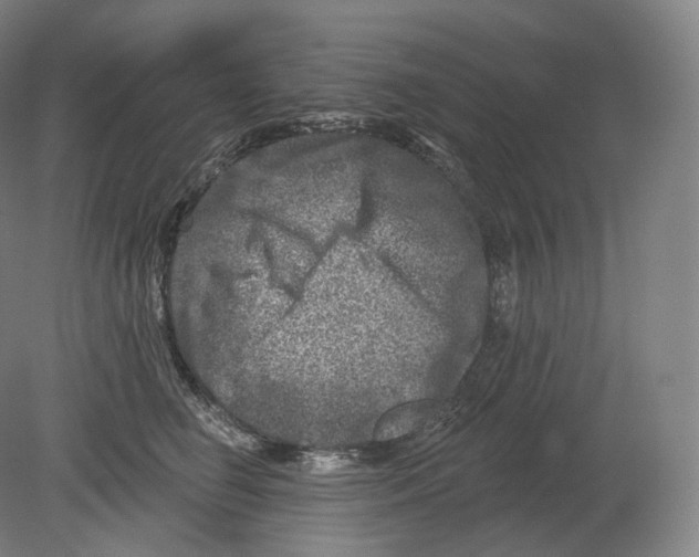 X0000080180662200701051658