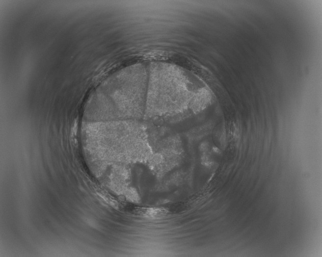 X0000080180663200701051658