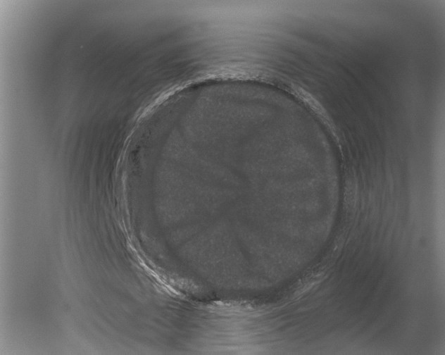 X0000080180673200701051658