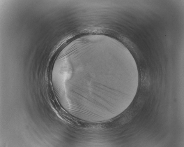 X0000080180674200701051658