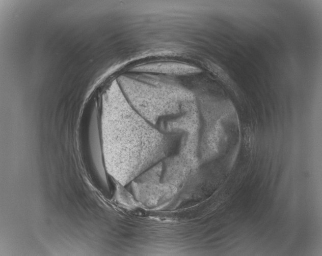 X0000080180676200701051658