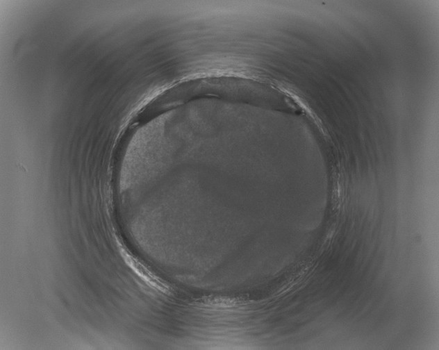 X0000080180677200701051658