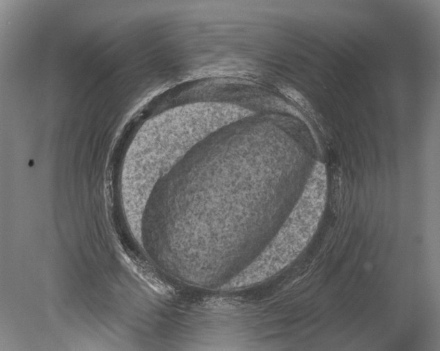 X0000080180680200701051658