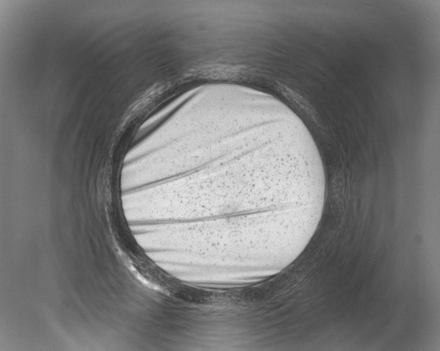 X0000080180682200701051658