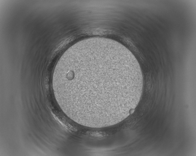 X0000080180683200701051658