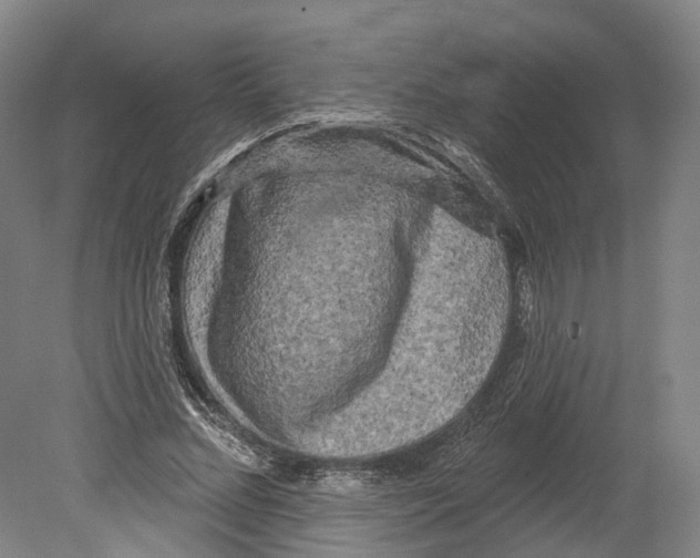 X0000080180684200701051657