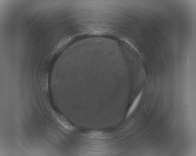 X0000080180685200701051657