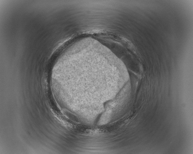 X0000080180688200701051657